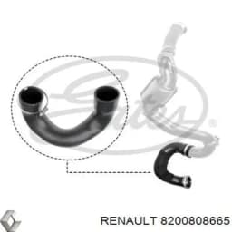 8200808665 RENAULT Manguera del intercooler izquierda original y equivalente
