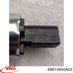 48B13640A02 VAG Regulador de presión de combustible original y equivalente