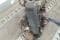 176B4000 FIAT Motor completo original y equivalente