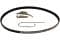 5113695 FORD Correa de accesorios