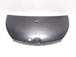 651009669R RENAULT Capó original y equivalente