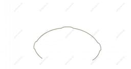 RWS2027 ROTWEISS Resorte del anillo sincronizador original y equivalente