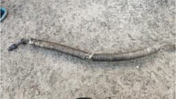 8200810608 RENAULT Manguera de alta presion de direccion, hidráulica original y equivalente