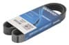 OEM 7PK1020 DAYCO
