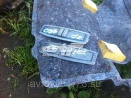 1230096 OPEL Luz interior trasera original y equivalente