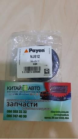 NJ612 PAYEN Anillo Reten Caja De Transmision (Salida Eje Secundario) original y equivalente