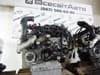 OM651955 MERCEDES Motor completo original y equivalente