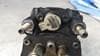 OEM 1692058 FORD