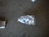 OEM 1528567 FORD