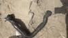 8200551942 RENAULT Manguera del intercooler derecha