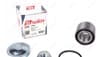 OEM 216088 SOLGY