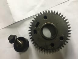 130246760R RENAULT Rueda dentada del árbol de levas de admisión original y equivalente