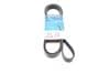6PK2100 DAYCO Correa trapezoidal