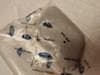 1835777 FORD Tapa de boquilla lavafaros original y equivalente