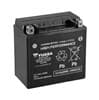 OEM YTX14HBS YUASA
