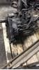 OEM 1S7R7F096 FORD