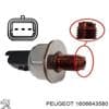1606643580 PEUGEOT Sensor de presión de combustible