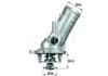 TM1087 MAHLE Termostato