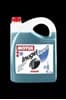OEM 102928 MOTUL