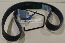 117201622R RENAULT Correa trapezoidal original y equivalente