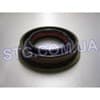 710480 NATIONAL Anillo retén, diferencial eje trasero original y equivalente