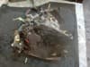 20DL74 PEUGEOT Caja de cambios