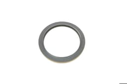 430855811R RENAULT Retén interior del cubo trasero original y equivalente