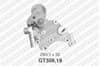 GT35919 SNR Tensor de la correa de distribución