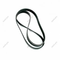 117201142R RENAULT Correa trapezoidal original y equivalente