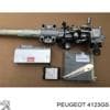 4123GS PEUGEOT Columna dirección
