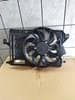 2269424 FORD Ventilador de radiador